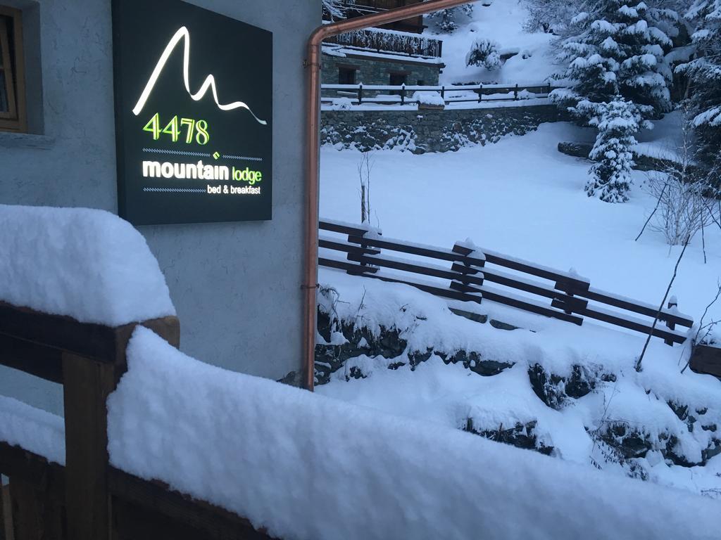 4478 Mountain